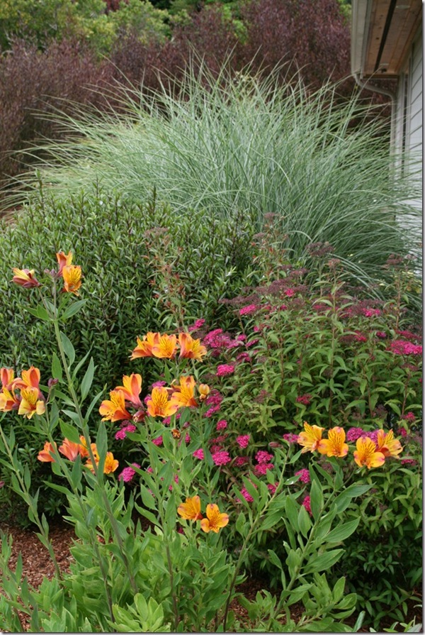 Color! And Grass! And Exclamation Points!