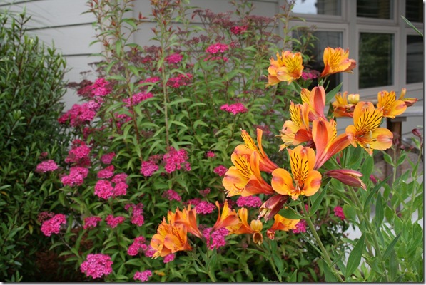Color! Vibrant, Vibrant Color.