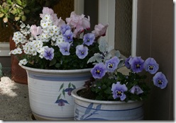 Pacific Northwest Container Gardening