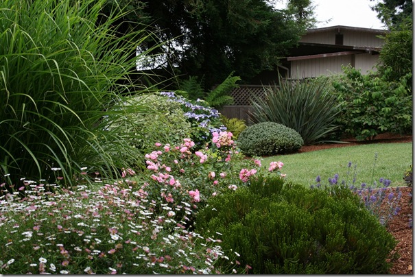 Lawn in the garden