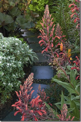 The NEW Low-Maintenance Garden