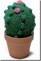 cactus!