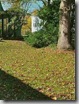 lawn reform coalition