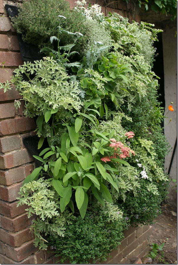 Edible living wall from Garden Up!