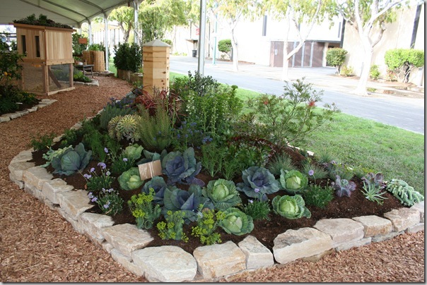 cabbages! cabbages!