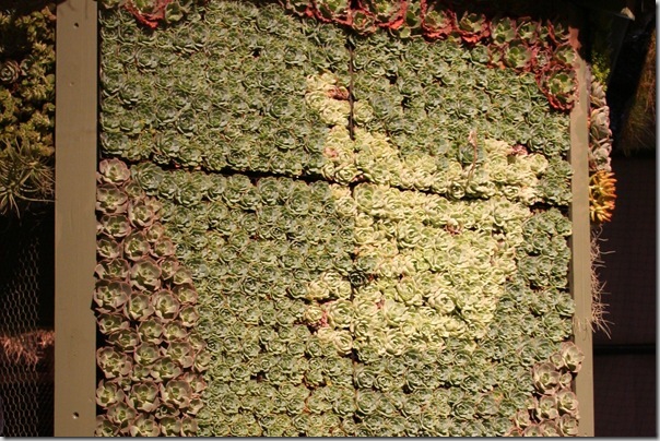doves done in succulents on the side doves done in succulents on the side