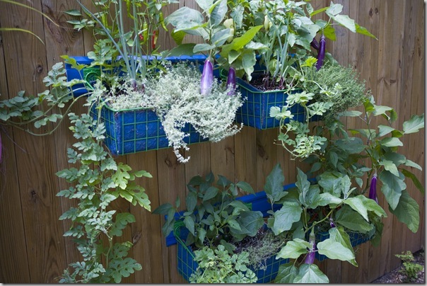 photo courtesy of Garden Up!
