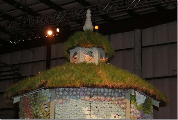 rook's nest! rook's nest!