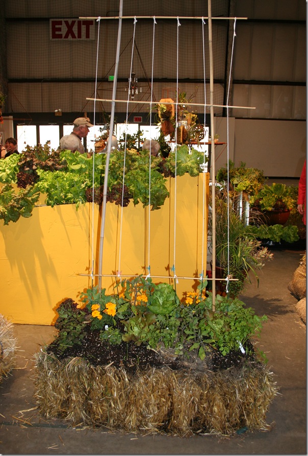 straw bale functional