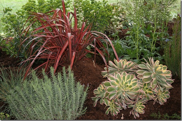 sweet foliage combos sweet foliage combos