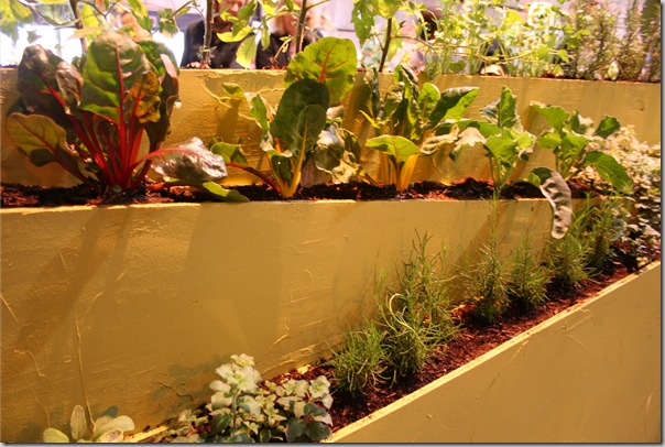 vertical gardening wall close up