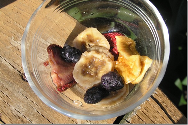 rehydratedfruit