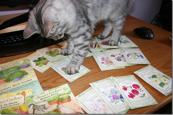 seed packets make good toys seed packets make good toys