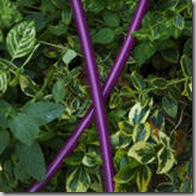 purplehose200