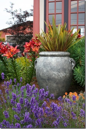 Mediterranean Garden Design - Creating a Tuscan Garden (14)