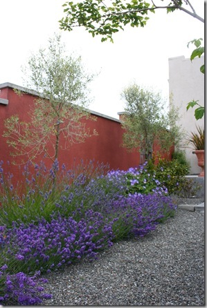 Mediterranean Garden Design - Creating a Tuscan Garden (5)