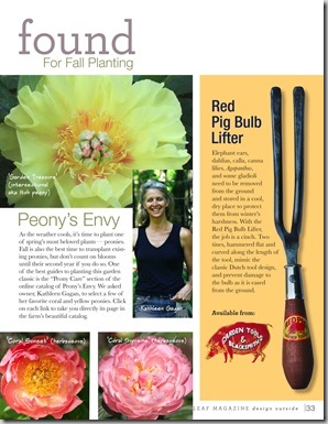 Found-Peony Found-Peony