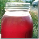 Amy Stewart's pomegranate syrup