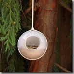 DIY bird feeders