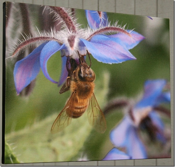 Finished photo canvas