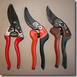 IMG_0079 IMG_0079