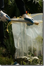 EZ Wall - wall of water protects plants (2)