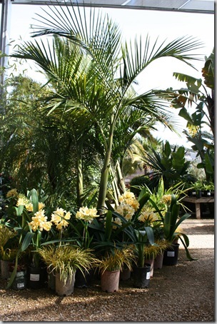 flora grubb nursery (2)