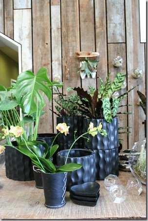 flora grubb nursery (3)