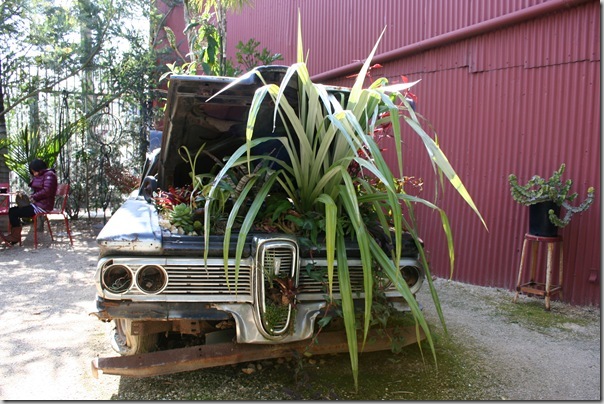 flora grubb nursery