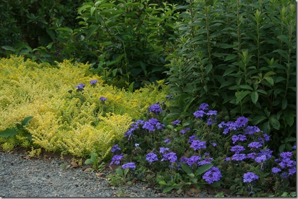 Garden2Blog (20)