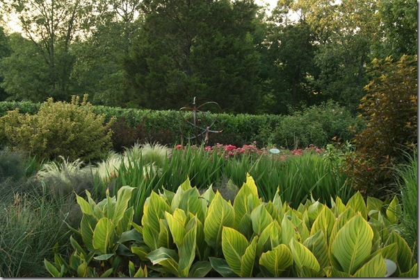 Garden2Blog (39)