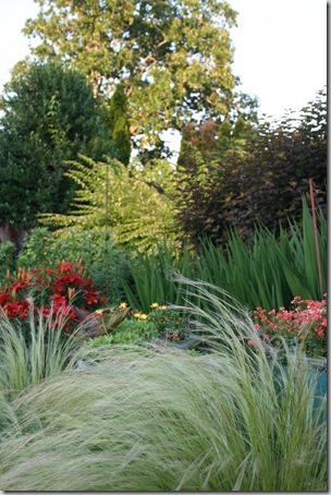 Garden2Blog (46)