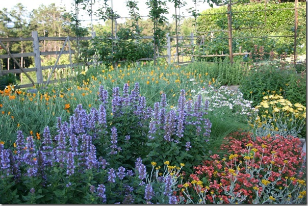 Garden2Blog (8)