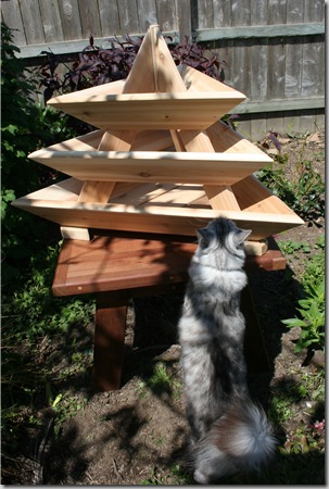 Triolife trangular planter (13)