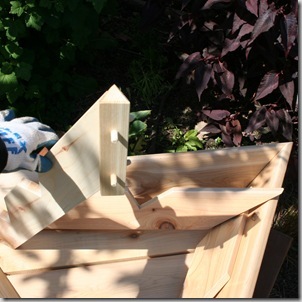 Triolife trangular planter (2)