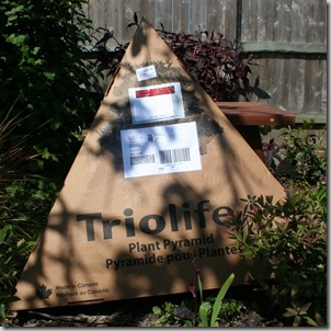 Triolife trangular planter