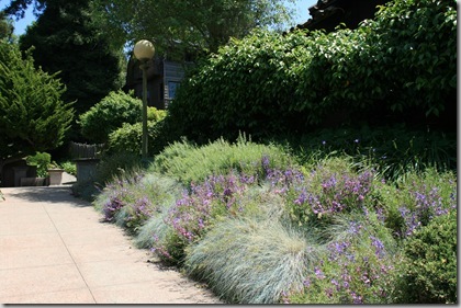 Wildlife-friendly gardens with good design (2)