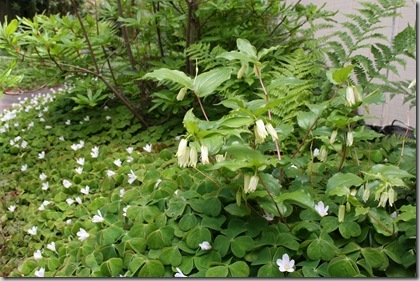 Wildlife-friendly gardens with good design (4)
