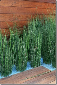 Wildlife-friendly gardens with good design (5)