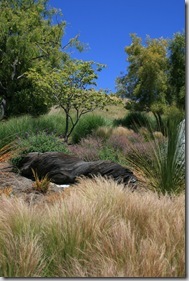 Wildlife-friendly gardens with good design (7)