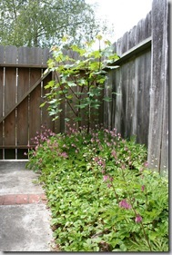 Wildlife-friendly gardens with good design (8)