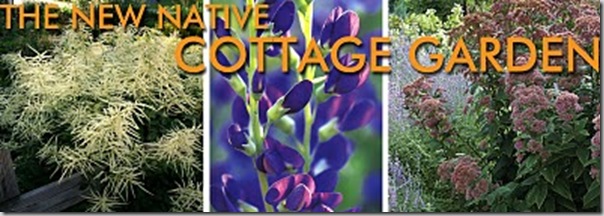 cottage garden new native cottage garden new native