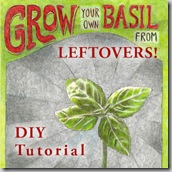 grow-basil-via-@rainforestgardn-and-@gardentherapy