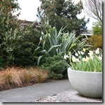 a wide shot of the urban planting. a wide shot of the urban planting.