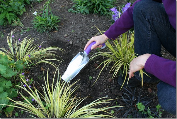 arthritis gardening tools