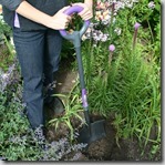 purple shovel purple shovel