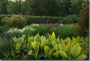 broad swathes at P Allen Smith's Garden Home