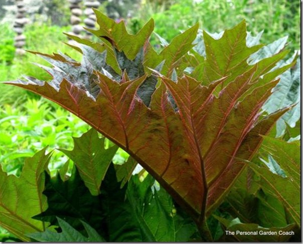 fine foliage blog post
