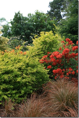lush planting design