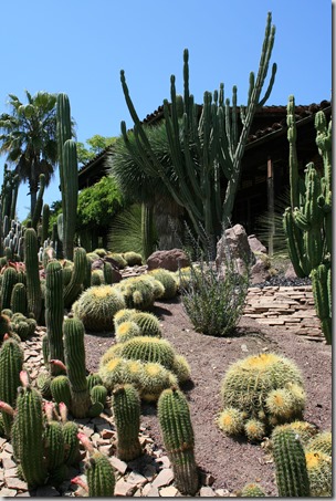 openly-spaced planting design